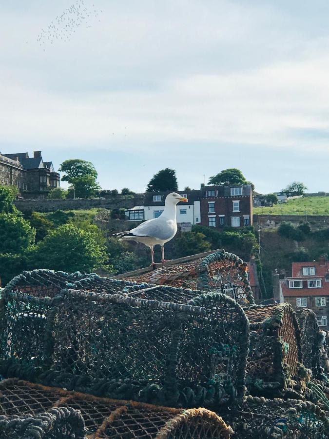 Mooredge B&B Whitby Esterno foto